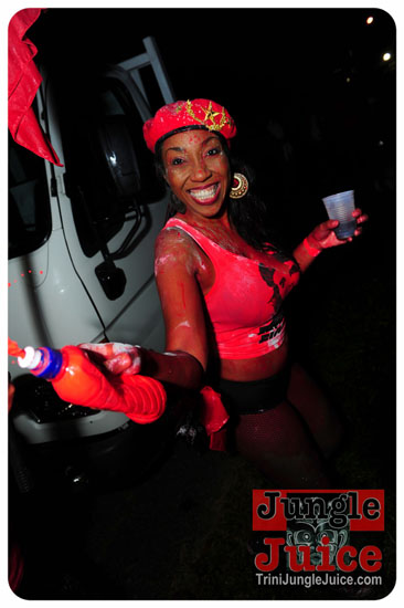 am_bush_2013-002