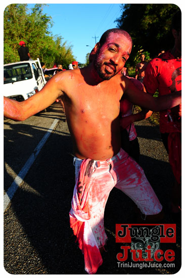 am_bush_2013-047