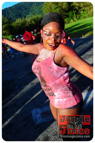 am_bush_2013-062