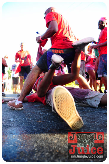 am_bush_2013-066