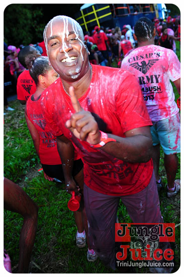 am_bush_2013-098