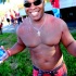 am_bush_2013-073