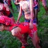 am_bush_2013-083