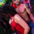 am_bush_2013-086