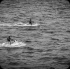 booze_cruise_trinidad_2013-072