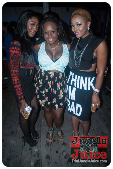 chow_chow_2013-060
