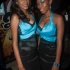 chow_chow_2013-030