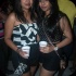 chow_chow_2013-042