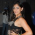 deja_vu_2013-066