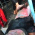 fantasy_jouvert_2013_part3-010