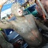 fantasy_jouvert_2013_part3-170