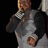 feting_tigers_2013-006