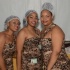 feting_tigers_2013-022