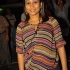 feting_tigers_2013-040