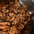 feting_tigers_2013-052