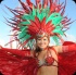 harts_carnival_tues_2013_pt1-002