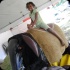 harts_carnival_tues_2013_pt1-200