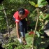international_coastal_clean_up_sep21-057