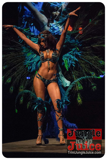 island_people_2014_band_launch-074