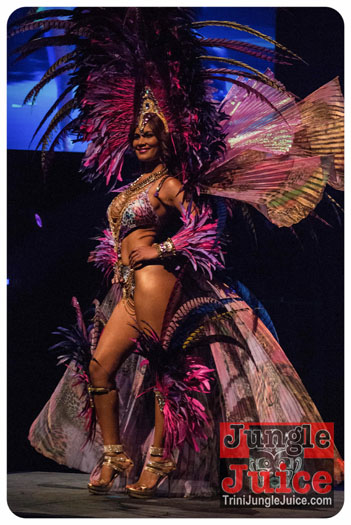 island_people_2014_band_launch-112