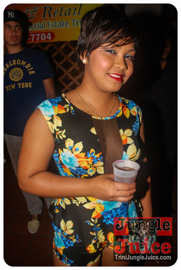 pure_2013-033
