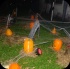 spooked_2013-003