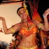 tribe_bliss_band_launch_2014_pt1-022