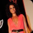 tribe_bliss_band_launch_2014_pt1-057