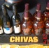 uwi_yalla_2013-044