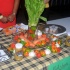 xotique_3_jan13_2012-038
