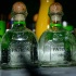 zante_picante_2013-031