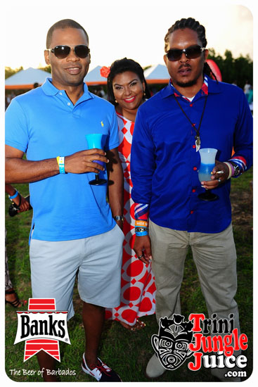 bliss_2014-042