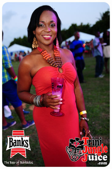 bliss_2014-066
