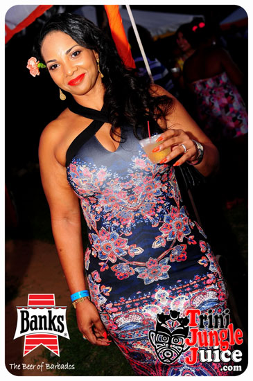 bliss_2014-076
