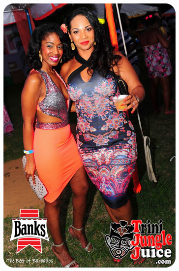 bliss_2014-077