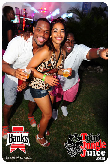bliss_2014-082