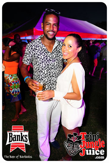 bliss_2014-099
