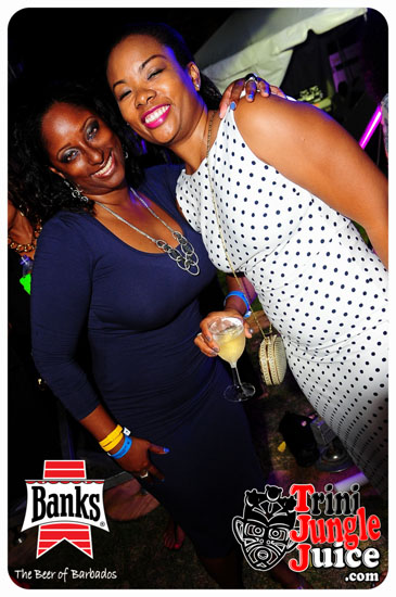 bliss_2014-205