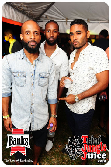 bliss_2014-288