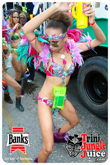 kadooment_day_2014_pt1-207