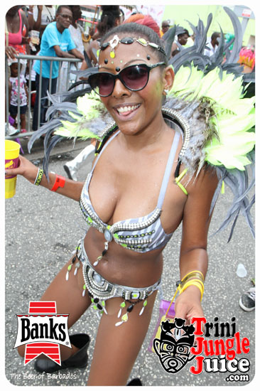 kadooment_day_2014_pt1-213