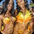 hollywood_carnival_parade_2014_pt1-154