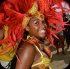hcf_parade_2014-103
