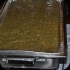 back_9_aug10-049