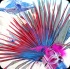 beautiful_carnival_2014-002