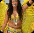 toronto_carnival_parade_2014_pt1-033