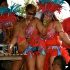 toronto_carnival_parade_2014_pt3-150
