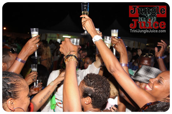 beach_house_carnival_2014-190