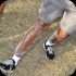 double_up_2014-073