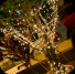 earth_wednesdays_prelaunch-055